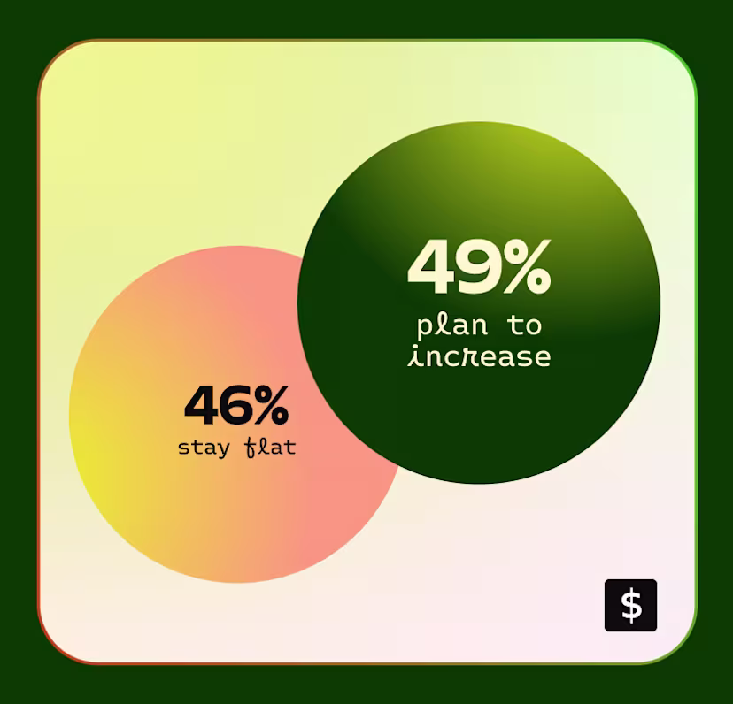 Video budgets in 2025